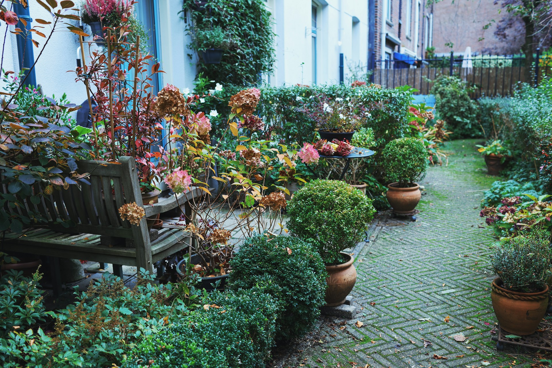 Choosing the Right Garden Design Consultant for Your Next Outdoor Project