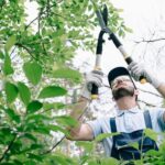 Tree Preservation